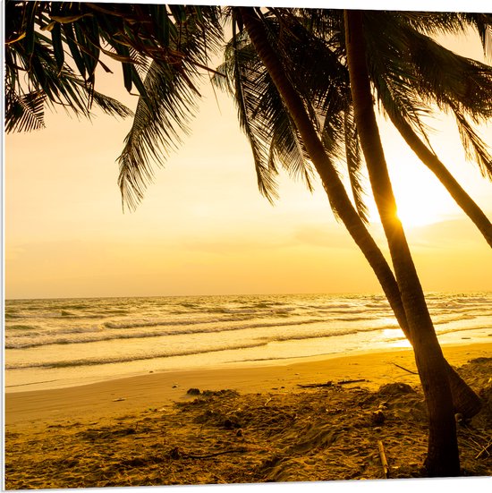 PVC Schuimplaat- Kokosnoot Palmbomen op het Strand bij Fekleurige Zonsopgang - 80x80 cm Foto op PVC Schuimplaat