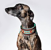 DWAM Halsband hond – Hondenhalsband – Turquoise – Leer – S – 21-26 x 4 cm – Paddy Lee