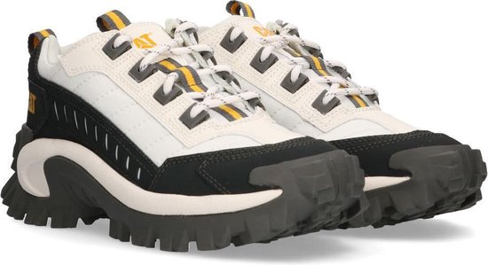 cat intruder shoes price