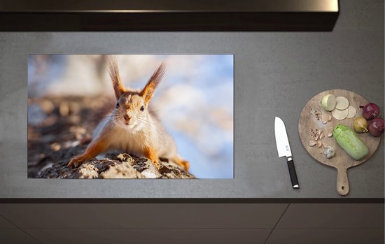 Boombescherming | Kunststof Expert | Kunststof producten voor de Infra