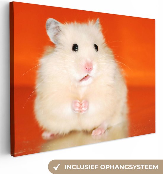 Canvas Schilderij Witte hamster op oranje achtergrond - 80x60 cm - Wanddecoratie