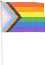 Zac's Alter Ego - Handheld Gay Pride Progress 30 x 16.5cm Vlag - Multicolours
