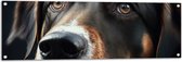 Tuinposter – Close-up van Kop van Bruin met Zwarte Hond - 120x40 cm Foto op Tuinposter (wanddecoratie voor buiten en binnen)