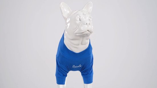 Hondenhemd voor kleine honden katten en huisdieren gestreept T-shirt zomer cool vest, puppy basic tanktop zacht katoen Chihuahua kleding voor Doggy