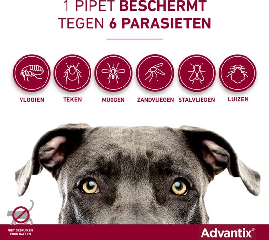 Bayer Advantix Vlooien & Teken Pipetten - Hond 10 tot 25kg - 6 stuks