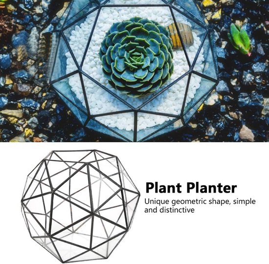 DIY Glass Terrarium in a Geometric Diamond Shape. This is an Indoors Air Plant Terrarium, Colour is Black. Mothers Day Gift, Christmas Gift - UK