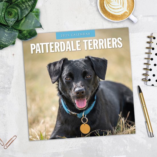Patterdale Terrier Calendrier 2025