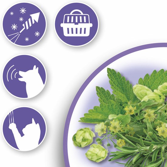 Beaphar Nature Line Zenuwtablet - Hond/Kat - 20 Stuks