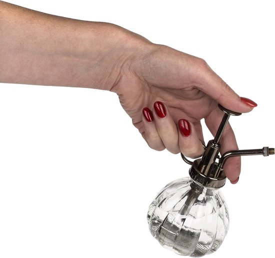 LIANSHI Roestvrijstalen plantensproeier, kleine gieter plantenspuitfles, modern tuingereedschap voor binnenpotplanten, water geven en sproeien (Roségoud, 0.3L LIANSHI Roestvrijstalen plantensproeier, kleine gieter plantenspuitfles, modern tuingereedschap voor binnenpotplanten, water geven en sproeien (Roségoud, 0.3L
