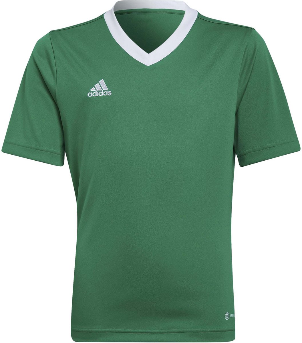 adidas - Entrada 22 Jersey Youth - Groene Voetbalshirt -152