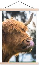 Porte-affiche avec affiche - Affiche scolaire - Highlander écossais - Nez - Arbre - 60x90 cm - Lattes vierges