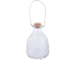 Wespenvanger/wespenval transparant glas 14 cm - Insectenvangers/insectenvallen