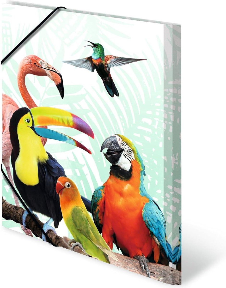 Verzamelmap DIN A4 Exotische Dieren Tropenclique Set van 3 - Stevige Kunststof Opbergmap - Documentenmap Voor Kinderen - Jongens en Meisjes - HTML Content nodig - 19959 documentenmap a4 elastiek