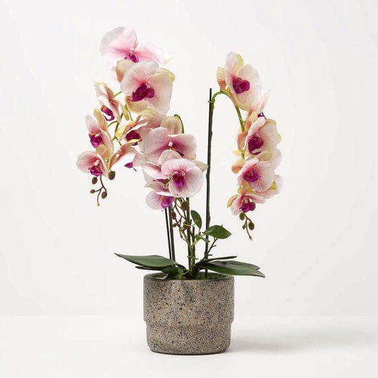 Homescapes Orchidée artificielle rose en pot en ciment naturel 64 cm