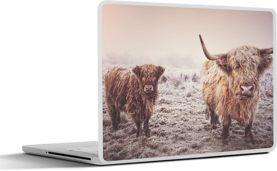Sticker ordinateur portable - 10,1 pouces - Highlanders écossais - Neige - Soleil