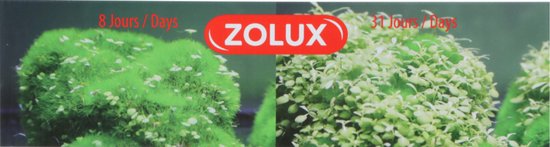 Zolux Growing Decor Totem Pole 2 - 1 pièce