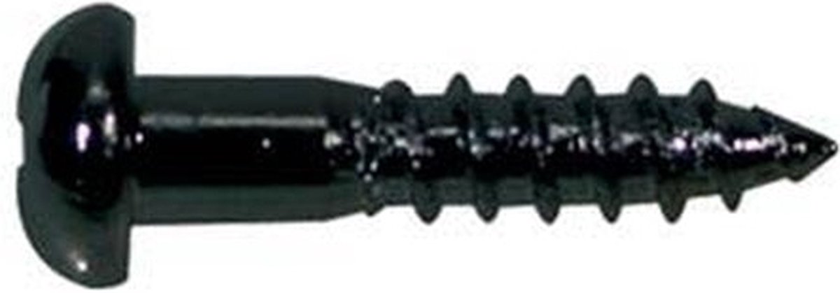 Boston WS-02-B Domekop Schroeven 2,1x10mm - 12 Stuks
