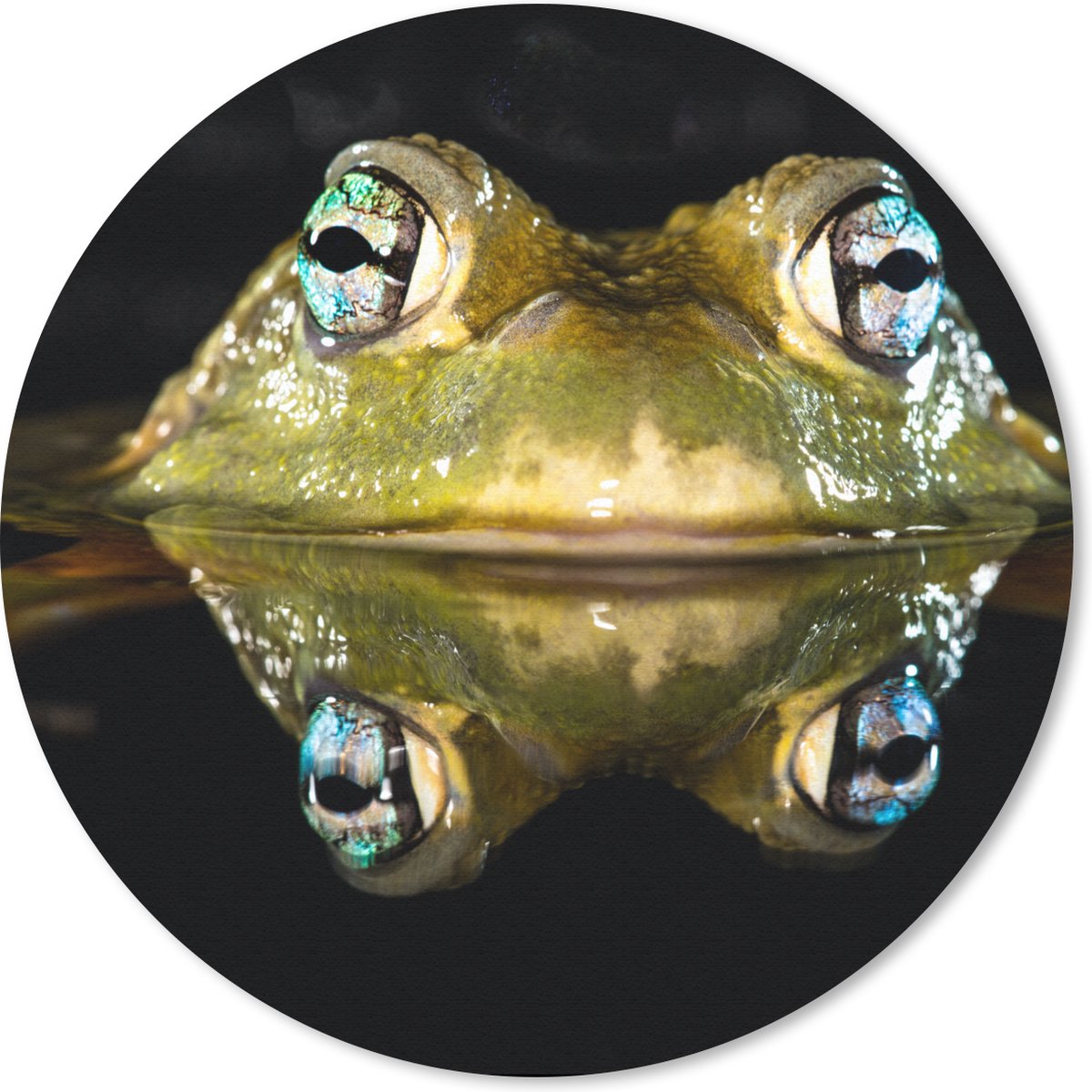 Muismat rond 30x30 cm - Mousepad Kikker - Ogen - Portret - Ronde muismatten