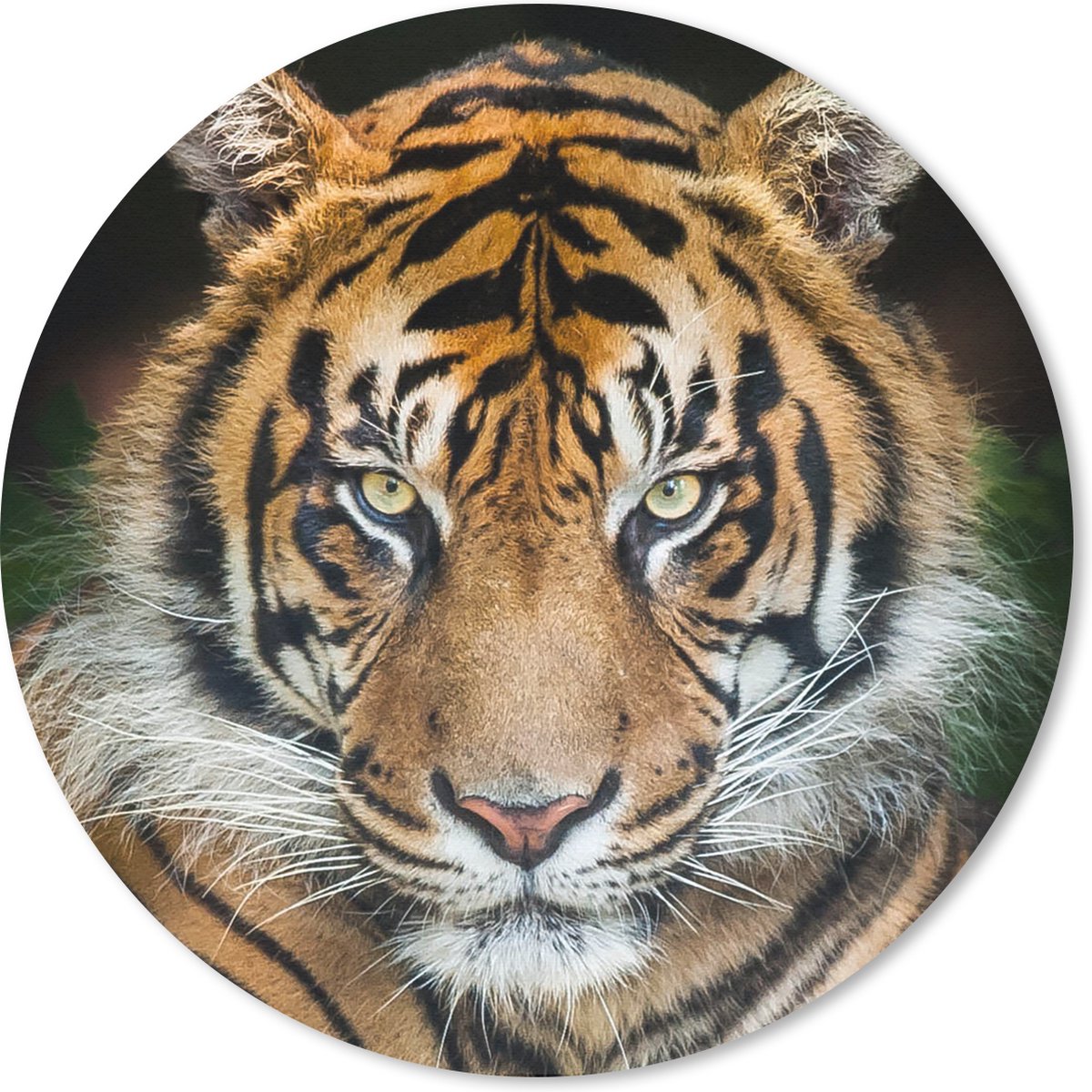 Muismat rond 40x40 cm - Mousepad Tijger - Ligt - Zwart - Ronde muismatten