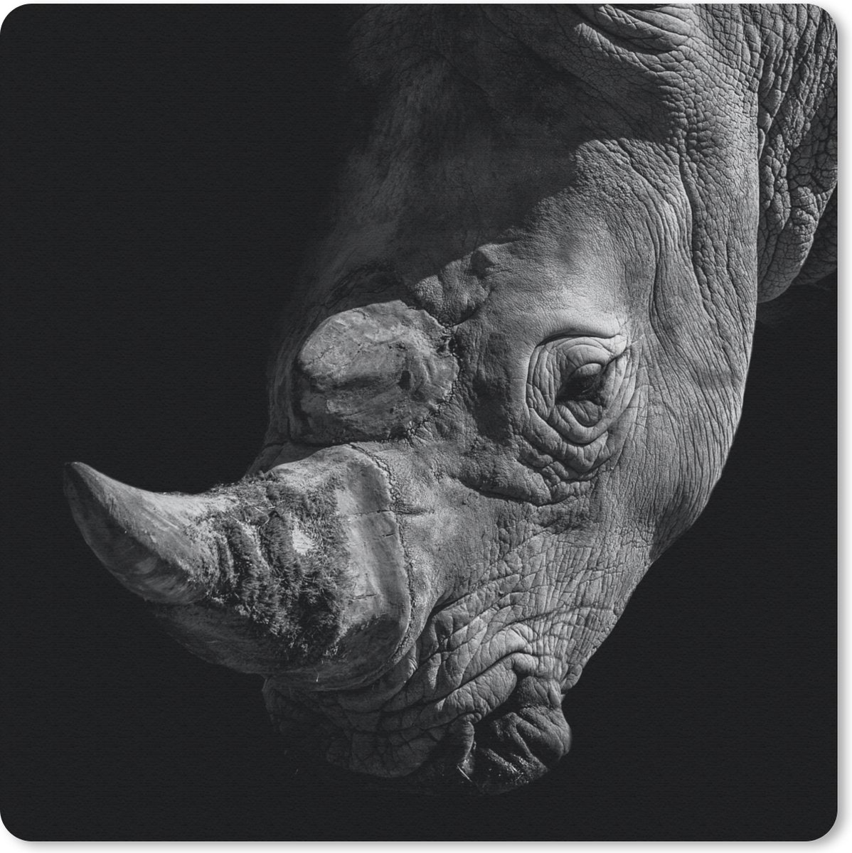 Muismat 20x20 cm - Mousepad Neushoorn - Wild dier - Portret - Muismatten