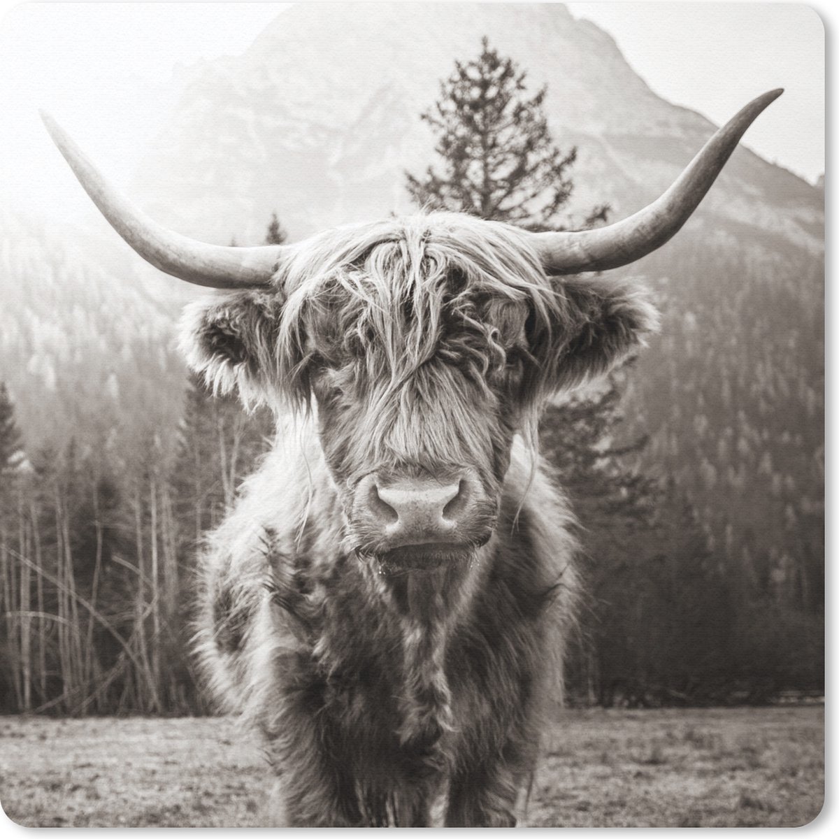 Muismat 30x30 cm - Mousepad Schotse hooglander - Dieren - Zwart - Wit - Muismatten