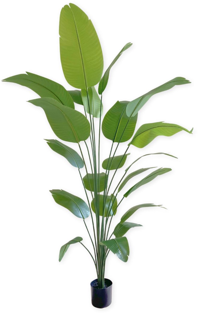 PrettyPlants Bananen Kunstplant 210 cm | Bananenboom Kunstplant | Kunstplanten voor Binnen | Grote Kunstplant | Kunst Bananenplant Groen
