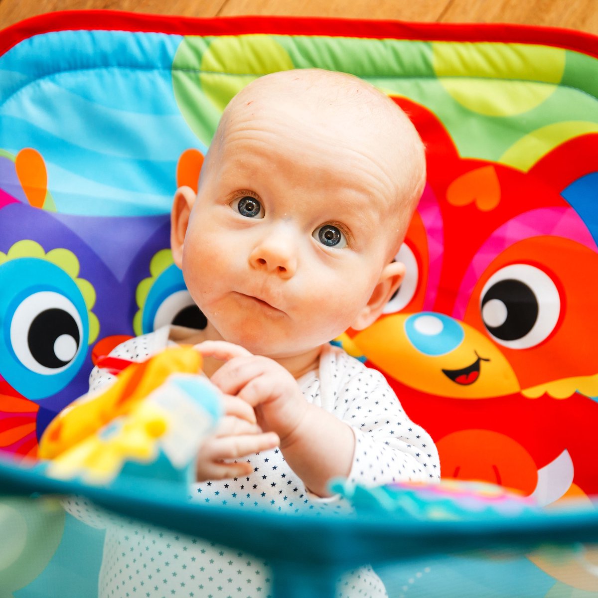 Playgro Baby Kruiptunnel Dieren Honey Bee Bear — afbeelding 10