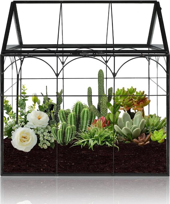 Moderne Glazen Terrarium met Zwart Tafelblad kopen? ✔️ Tot 25% korting