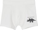 Witte boxer met een donkergrijze Triceratops-print rechts.