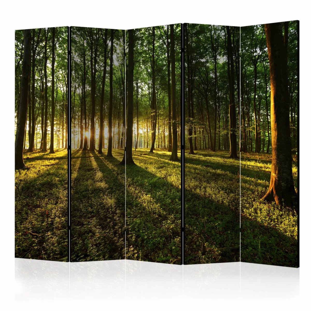 Vouwscherm - Ochtend in het bos 225x172cm , gemonteerd geleverd, dubbelzijdig geprint (kamerscherm)
