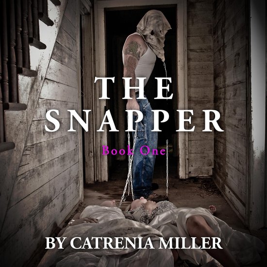 The Snapper - cover
