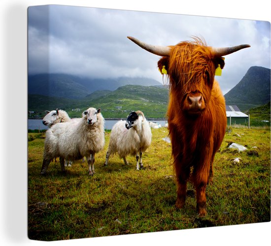 Canvas Schilderij Schotland - Koe - Schaap - 80x60 cm - Wanddecoratie