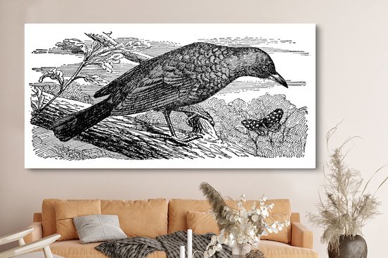 Tableau Tableau Merle - Illustration - Branche - 160x80 cm - Décoration murale