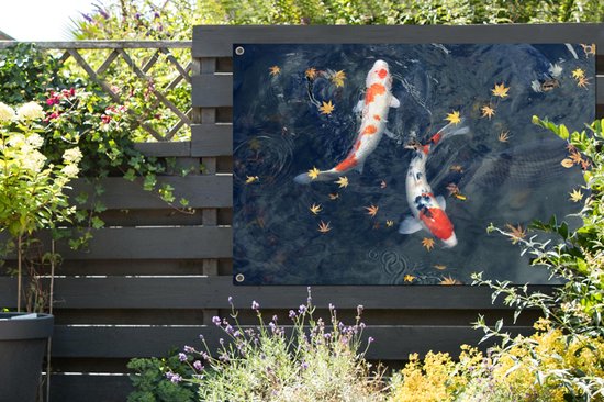 Poster de jardin Deux corsaires koï nageant entre les feuilles - 120x80 cm - Jardin