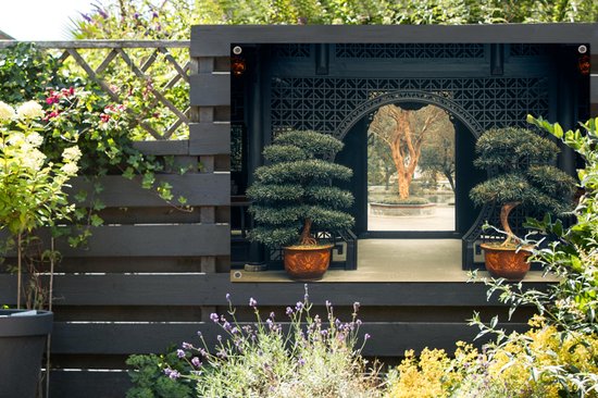 Affiche de jardin bonsaï chinois - 120x80 cm - Jardin