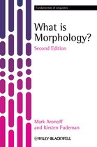 What Is Morphology
