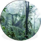 WallCircle - Wandcirkel - Muurcirkel - Een mistig regenwoud in Costa Rica - Aluminium - Dibond - ⌀ 60 cm - Binnen en Buiten
