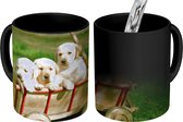 Magische Mok - Foto op Warmte Mokken - Koffiemok - Drie schattige Golden Retriever puppy's in een kar - Magic Mok - Beker - 350 ML - Theemok