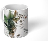 Mok - Kat - Kitten - Planten - 350 ML - Beker