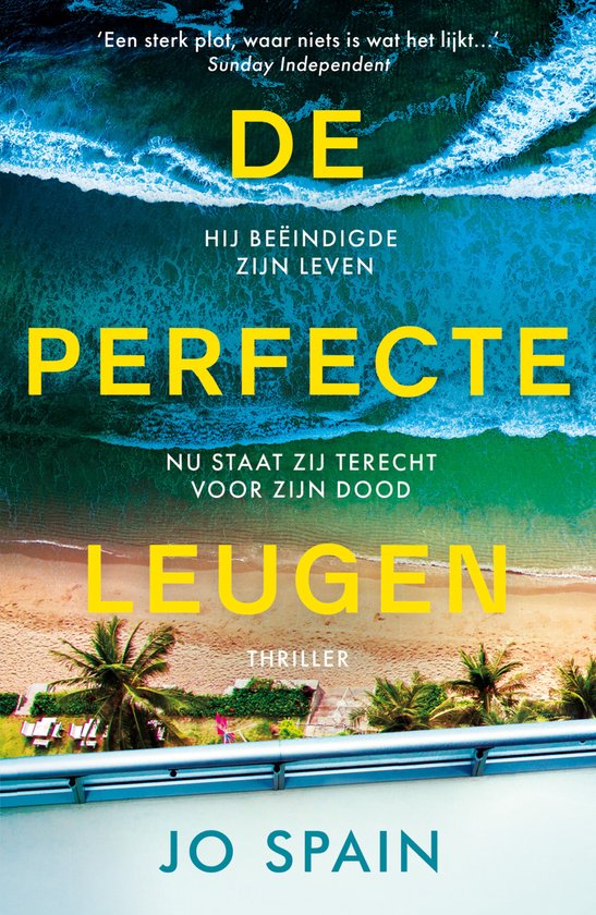 De perfecte leugen - cover