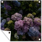 Tuinposters Bloeiende hortensia struiken in de tuin - 50x50 cm - Tuindoek - Buitenposter