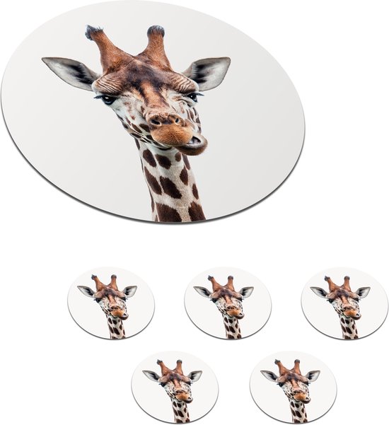 J-Line Onderzetters Print | Porselein | Blauw/Wit (Set van 6) - 5659