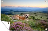 Muurdecoratie Hond - Bloemen - Golden Retriever - 180x120 cm - Tuinposter - Tuindoek - Buitenposter