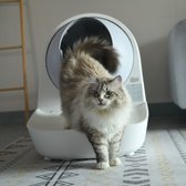 Catlink Stairs - Uitlooprooster en Trap in één - Accessoire voor de Scooper Pro Luxury kattenbak - Kleur Wit