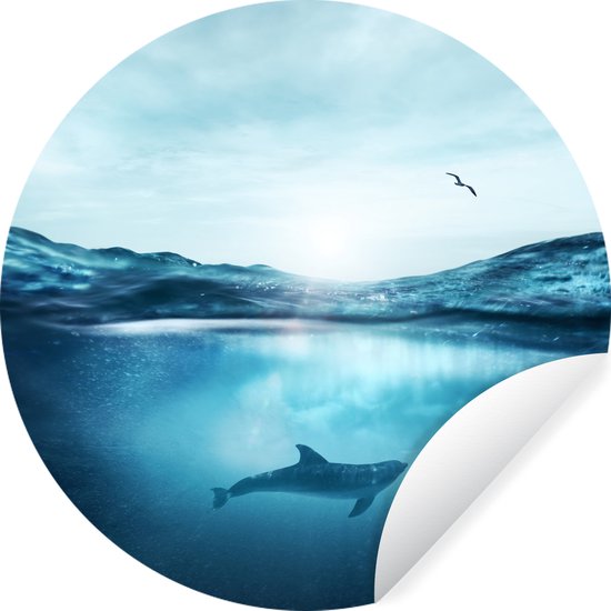 WallCircle - Stickers muraux - Cercle de papier peint - Dauphin - Mer - Vogel - ⌀ 120 cm - Cercle mural - Autocollant - Papier peint autocollant rond XXL