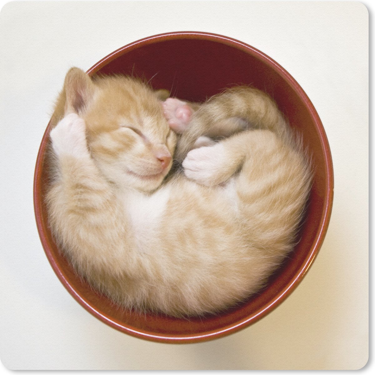 Muismat 30x30 cm - Mousepad Een kitten in een rode kom - Muismatten