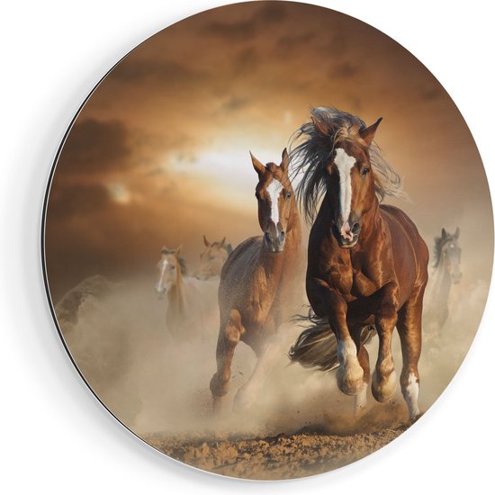 Artaza Dibond Muurcirkel Wilde Paarden In Het Zand - Ø 60 cm - Wandcirkel - Rond Schilderij - Voor Binnen en Buiten