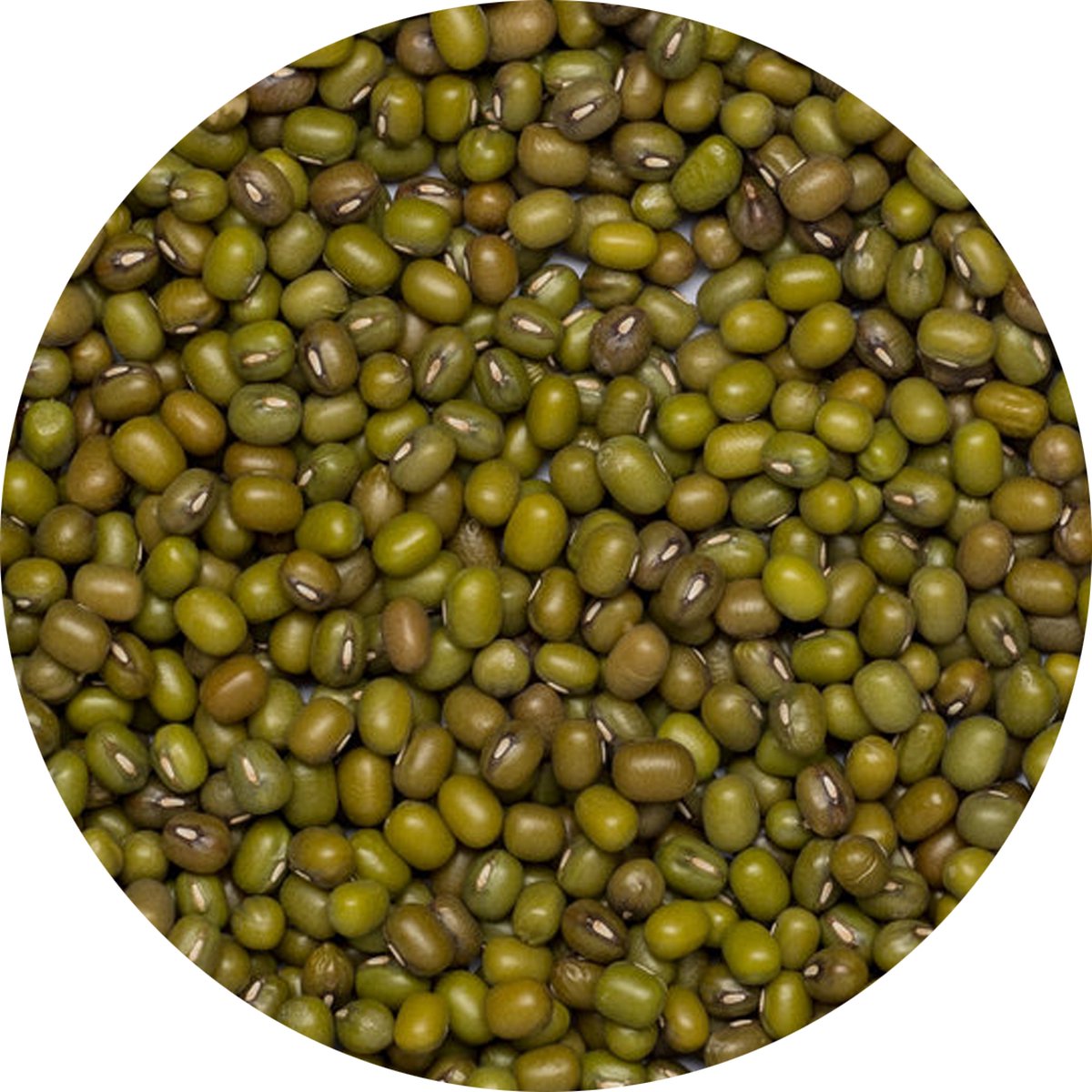 Goedkoopste Mungbonen heel - 1 Kg - Holyflavours