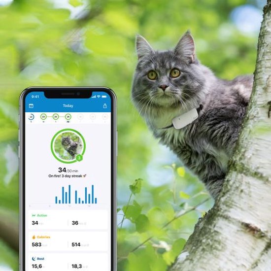 Tractive IKATI GPS tracker kat Editie 2020. Kat gps-tracker voor elke  kattenhalsband  | bol.com