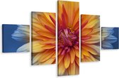 Schilderij - Chrysant close-up, 5luik, premium print